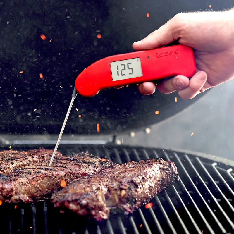 ThermoWorks Thermapen ONE