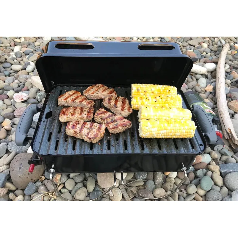 Weber Go-Anywhere Gas Grill